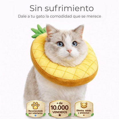 Collar Michimood Piña