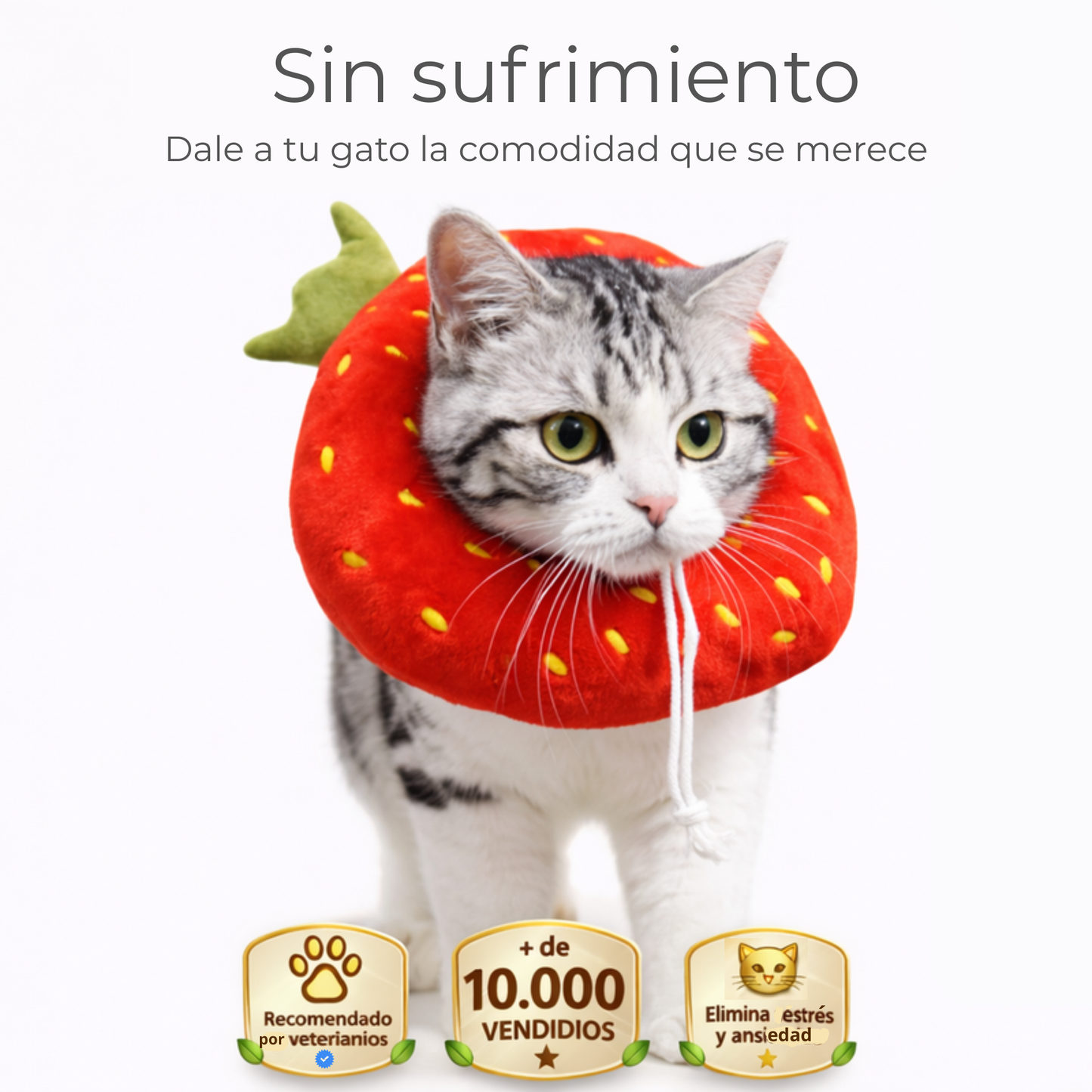 Collar Michimood Fresa