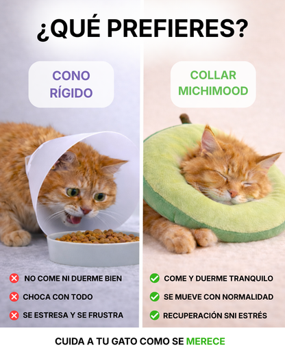 Collar Michimood Limón