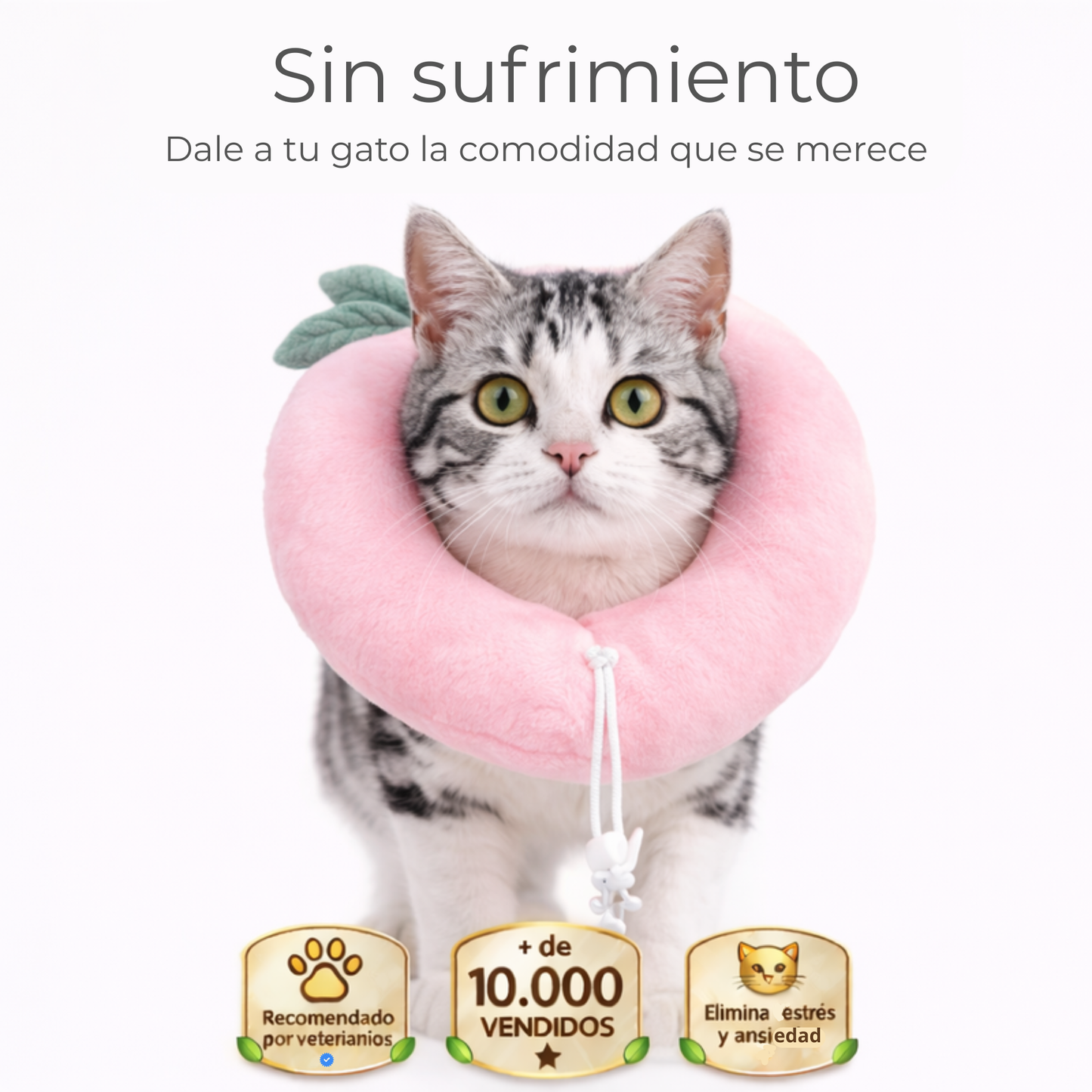 Collar Michimood Melocotón