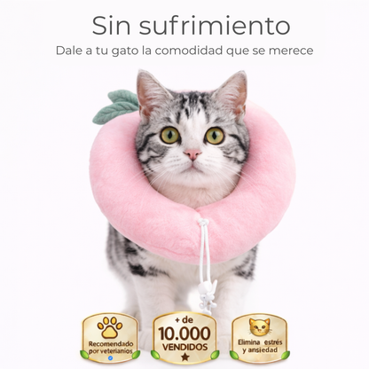 Collar Michimood Melocotón