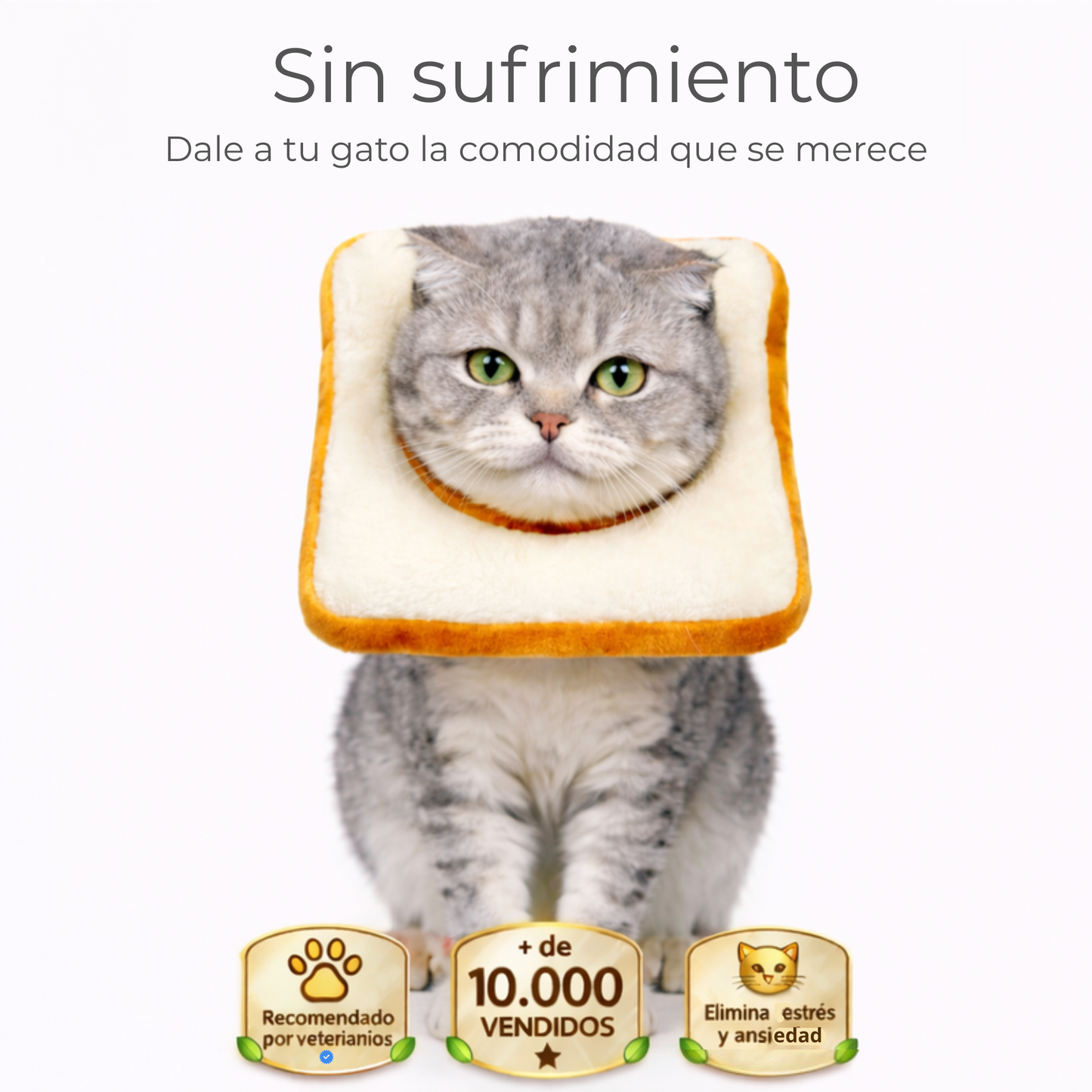 Collar Michimood Tostada