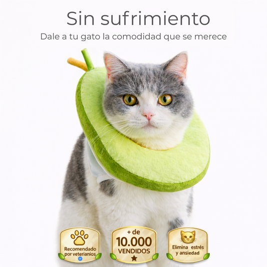 Collar Michimood Aguacate